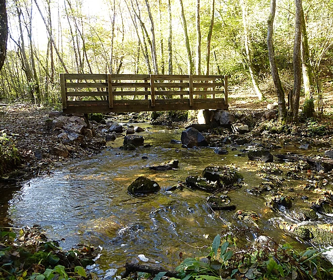 Petit pont en bois au dessus d'une rivière